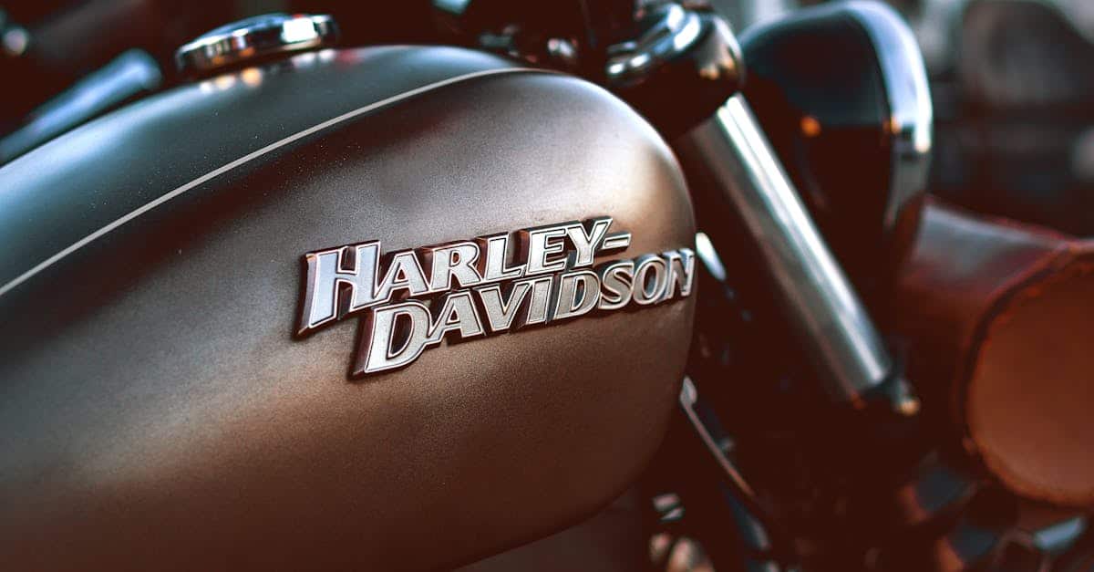 Harley Davidson Bordeaux : la nouvelle tendance à adopter pour être à la pointe de la mode ?